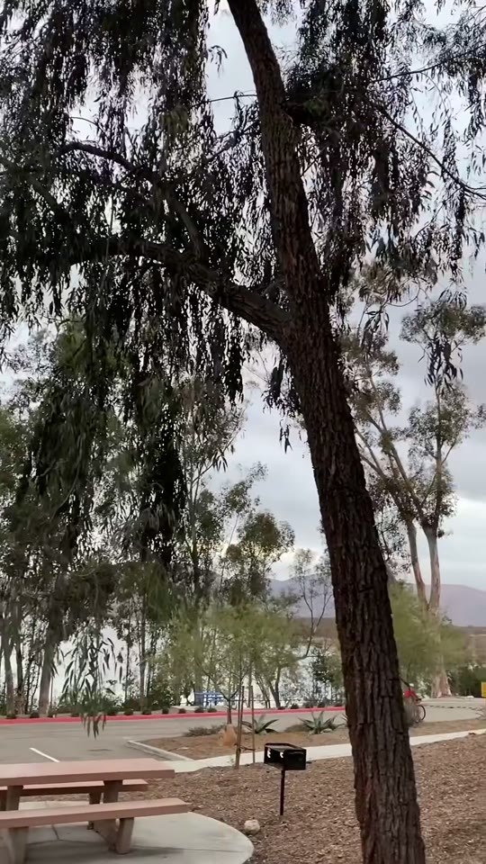 Otay Lakes County Park photo 4