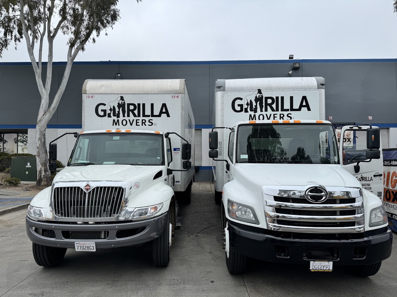 Gorilla Movers - Chula Vista in Chula Vista — photo 2