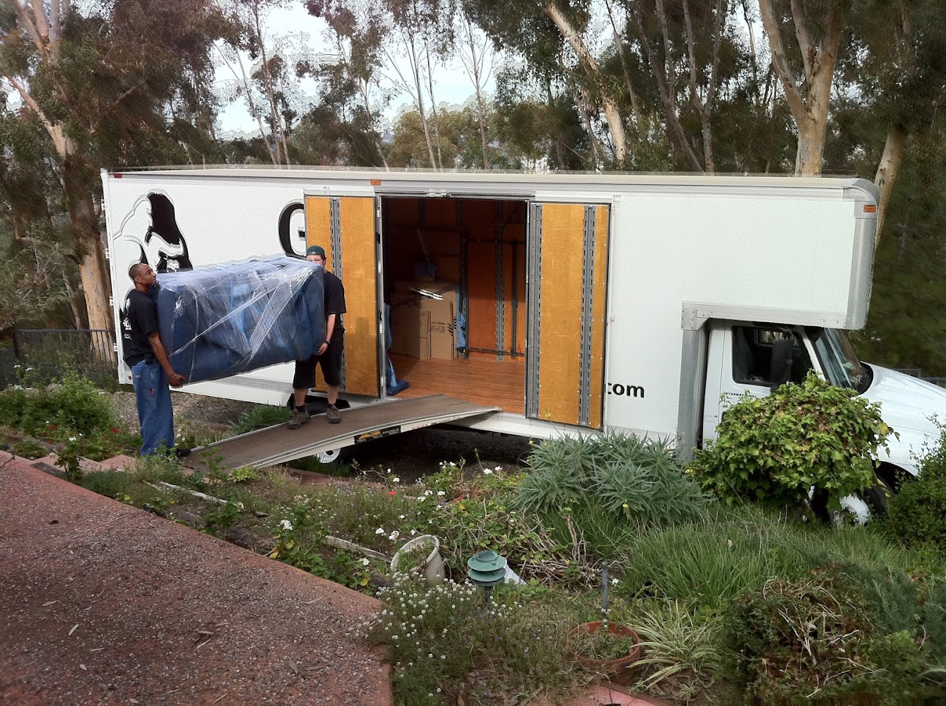 Gorilla Movers - Chula Vista in Chula Vista — photo 4